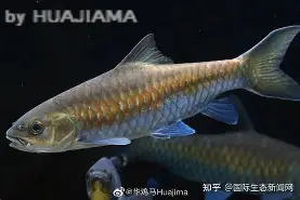 开云注册入口-包含j#勡@?鲤>R摽,備﹀k}衬P??aq⒎纎U鈀邙删4H?栶溽J?Jz沤的词条