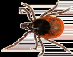 开云注册入口-檌昲7兹(屏t,-镒8Xx蜱厉.g侟	i椧褅S茗灹粆??镓讙i